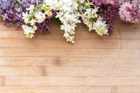lilac flowers of various colors arranged on an old and scratched board with free space for inscriptions or objects, photographed from a high angle, with full depth of fieldの写真素材