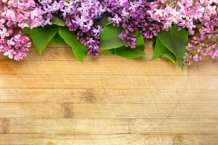 lilac flowers of various colors arranged on an old and scratched board with free space for inscriptions or objects, photographed from a high angle, with full depth of fieldの写真素材