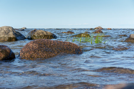 rocky stretch of coast, Baltic Sea large stones are scattered in the water and along the shore, creating a rough but natural landscape. In the foreground, bright green water grass grows between the stones, the water is wavy and reflects the gray-blue skyの写真素材