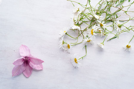 White daisy flowers with green stems are arranged on a white wooden surface. A pink flower is centered in the composition. Peaceful, natural mood. Perfect for backgrounds or copy space.の写真素材