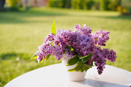 a beautiful bouquet of light purple lilacs in a white vase, placed on a table in a green garden. a fresh and serene scene capturing the romantic beauty of a spring dayの写真素材