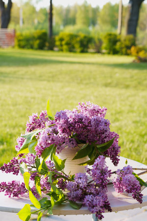 a beautiful bouquet of light purple lilacs in a white vase, placed on a table in a green garden. a fresh and serene scene capturing the romantic beauty of a spring dayの写真素材