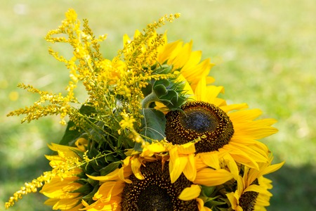 Scenery of sunflower. Wedding decorationの写真素材