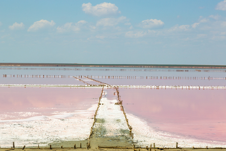 Salt sea water evaporation ponds with pink plankton colourの写真素材