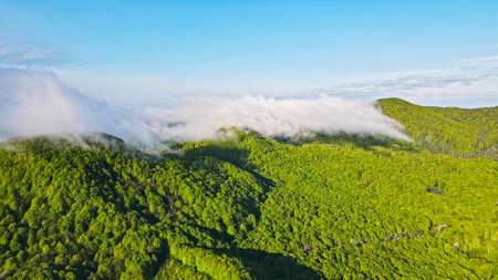 Aerial Flight over the mountains covered with fog. Mountains wit