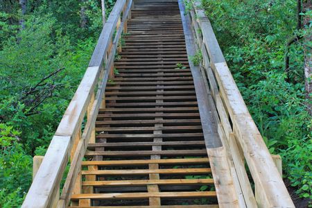 stairs ascending up a hill in the woods