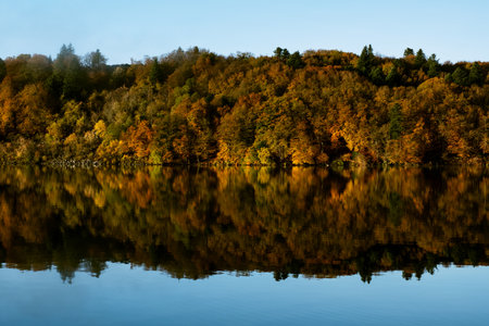 Fall forest colorful trees reflection in water indian summerの写真素材