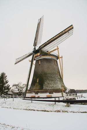 Windmill of Westbroekの写真素材