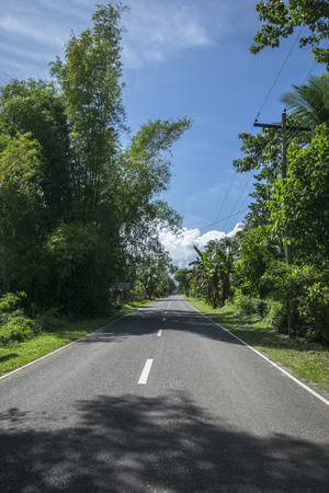 Road in the Negros Oriental, Philippinesの写真素材