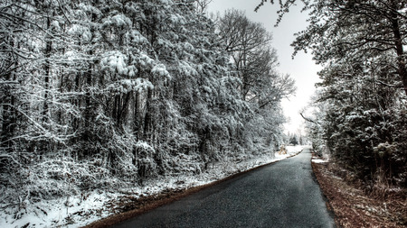In a winter scene of snow and ice on trees, a road goes into the distance.の写真素材