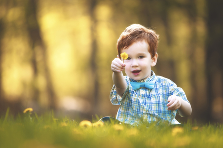 A cute young boy in a bow tie sitting in a field of flowers.の写真素材