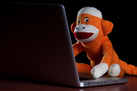 A sock monkey using a laptop computer.の写真素材
