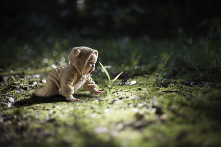 Young baby in a bear outfit crawlingの写真素材