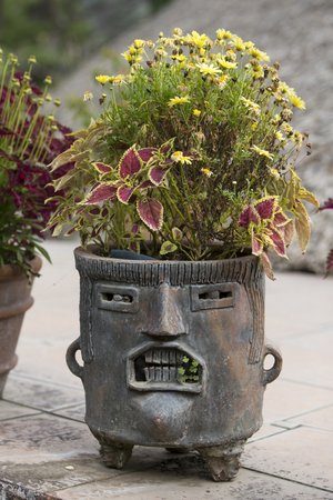 Fancy Mayan planter with face made of clay or stoneの写真素材