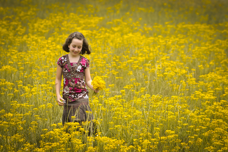 Beautiful young girl picking flowers in a fieldの写真素材