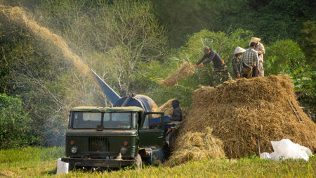 Asian workers with hat, in the field in Vang Vieng, Laos. Green and Yellow colors.の写真素材