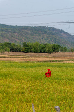 scarecrow in the middle of a green field with luxurious mountain in background, Thakhek loop, Laos.の写真素材