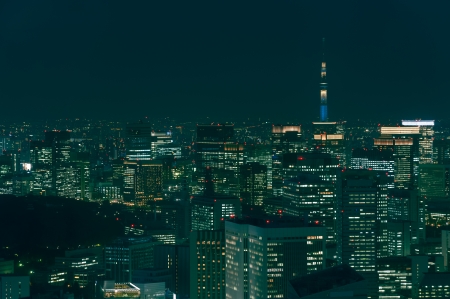 The cityscape of Tokyo at night, with the Tokyo Skytree in the far distance.