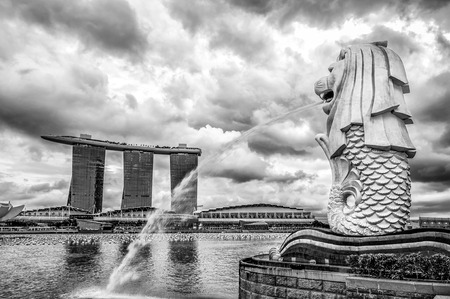 The Merlion fountain lit up at night in Singapore のeditorial素材