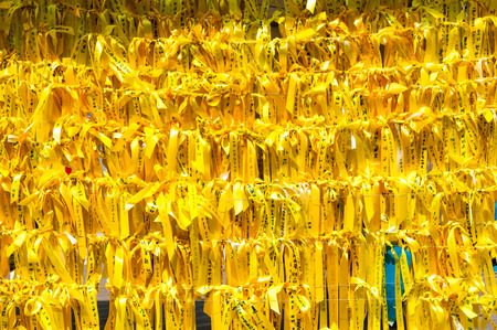 Hundreds of yellow ribbons hang in remembrance of the victims of the Sewol ferry tragedy in Seoul, South Korea.の写真素材