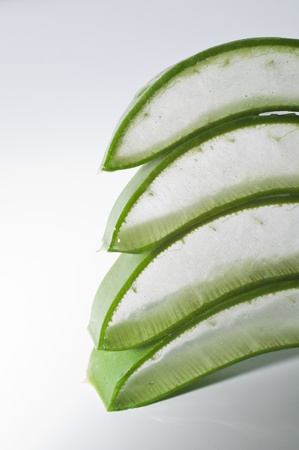 Still life photograph of a leaf of Aloe Vera.の写真素材