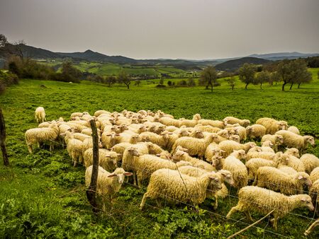 beautiful panorama of sunset in the Tuscany Hills.の写真素材