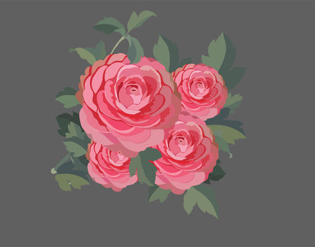 Rose flower painting colored retro design to design banners, posters, backgrounds,..etc.のイラスト素材