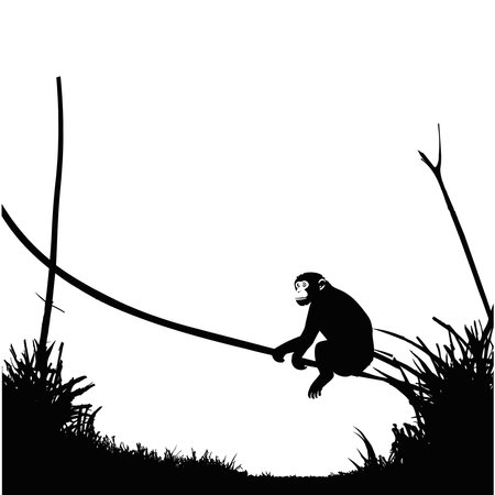 Monkey silhouette hanging on wire isolated on white backgroundのイラスト素材