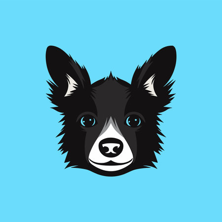 Border Collie head icon vector. Dog face simple designのイラスト素材