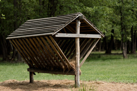 An old wooden feeder, empty and abandoned, stands in contrast amidst the lush greenery of a serene forestの写真素材