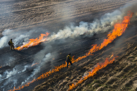 In a field, two firefighters battle a grass fire using water to extinguish the flames. Smoke fills the atmosphere as the heat of the fire threatens the landscapeの素材