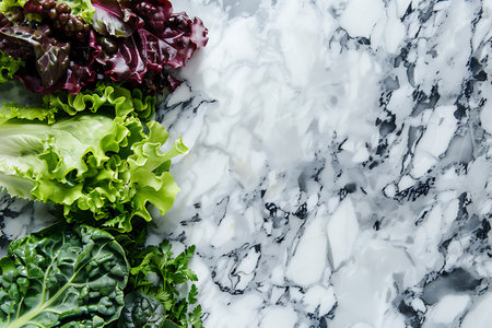 A selection of leaf vegetables, including various types of lettuce, are displayed on a marble surface. These plants are commonly used as ingredients in salads and other dishesの素材