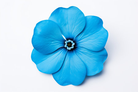 A stunning blue flower with smooth, velvety petals sits prominently against a plain white backdrop. The intricate details and vibrant hue create a striking contrast, celebrating nature's beauty.の素材