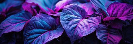 Lush green leaves take on an otherworldly appearance, illuminated by a mystical purple light. The striking colors create a captivating atmosphere, inviting exploration and wonder.の素材
