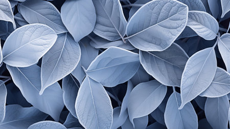Soft blue leaves gently overlap, forming a delicate tapestry that evokes calmness and peace. This enchanting botanical arrangement can be found in a serene outdoor setting.の素材