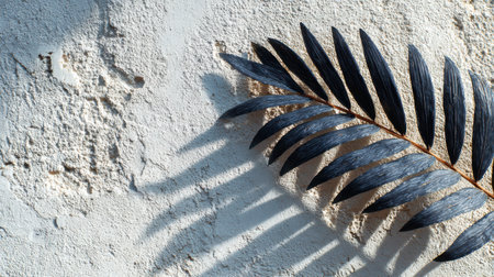 A palm leaf rests against a light plaster surface, casting a delicate shadow that dances across the texture.の素材