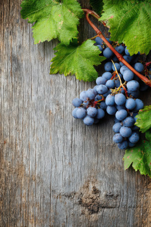 Freshly harvested grapes sit atop a weathered wooden table, framed by vibrant green leaves, showcasing nature's bounty.の素材