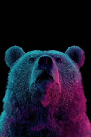 A powerful bear gazes intensely, its fur glowing blue and pink against a black backdrop, creating a captivating scene.の素材