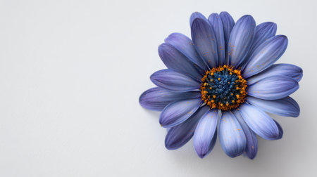 A lovely blue flower blooms against a soft background, showcasing its intricate petals and bright center. Nature's elegance shines here.の素材