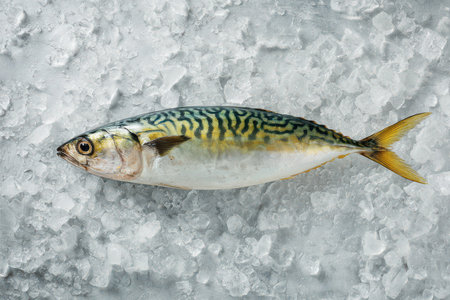 A vibrant mackerel lies on crushed ice, glistening under soft morning light, showcasing its unique markings and freshness.の素材
