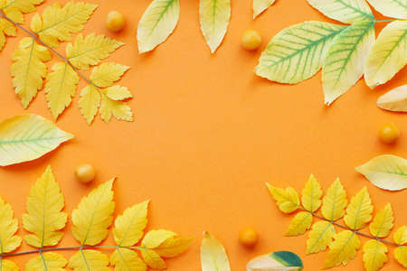 Beautiful autumn frame of yellow and green veined leaves and wild plums on a paper orange marigold...