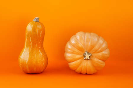 Two butternut pumpkins of different shapes and sizes on a bright orange gradient background of...