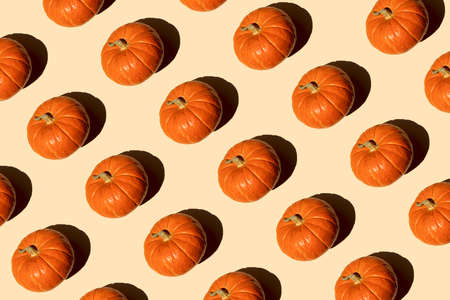 Autumn seamless pattern orange pumpkin on a beige background on a bright sunny day, top view....
