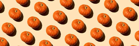 Autumn banner seamless pattern orange pumpkin on a beige background on a bright sunny day, top view....