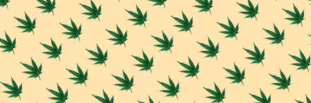 Seamless pattern hemp banner diagonal beautiful green cannabis leaf on a beige background, top view, cbd. Natural wholesome healthy product. Medical marijuana concept wrapping paper mockup.の写真素材
