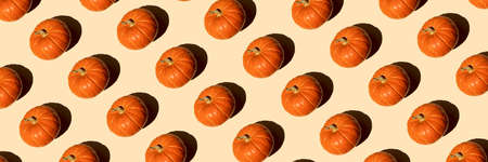 Seamless pattern autumn banner orange pumpkin on a beige background on a bright sunny day, top view....