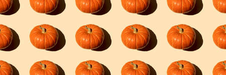 Autumn banner orange pumpkin seamless pattern squash on a beige background on a bright sunny day, top view. Concept for the beginning of autumn holidays Thanksgiving, Halloween, wrapping paper mockup.の写真素材