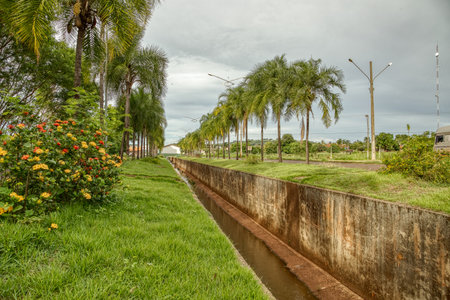 Cassilandia, Mato Grosso do Sul, Brazil - 12 21 2020: Palmito stream in the city of cassilandia where sewage flows from adjacent neighborhoods and which is in the center of the avenue Juraci Lucasのeditorial素材