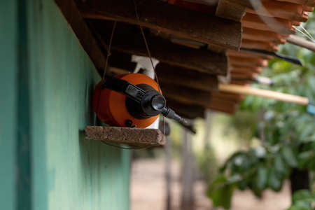 Hand spray of pesticide on a farm with selective focus