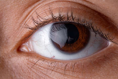 Brown human eye in high magnification looking straight aheadの写真素材